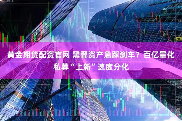 黄金期货配资官网 黑翼资产急踩刹车？百亿量化私募“上新”速度分化