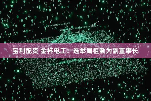 宝利配资 金杯电工：选举周祖勤为副董事长