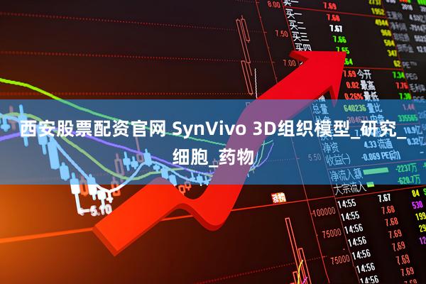 西安股票配资官网 SynVivo 3D组织模型_研究_细胞_药物