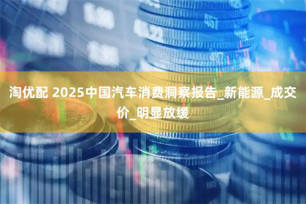 淘优配 2025中国汽车消费洞察报告_新能源_成交价_明显放缓