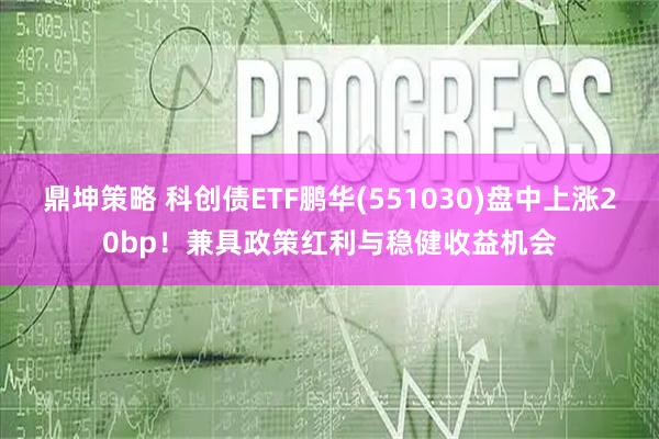 鼎坤策略 科创债ETF鹏华(551030)盘中上涨20bp！兼具政策红利与稳健收益机会