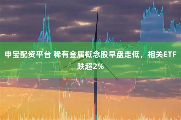 申宝配资平台 稀有金属概念股早盘走低，相关ETF跌超2%